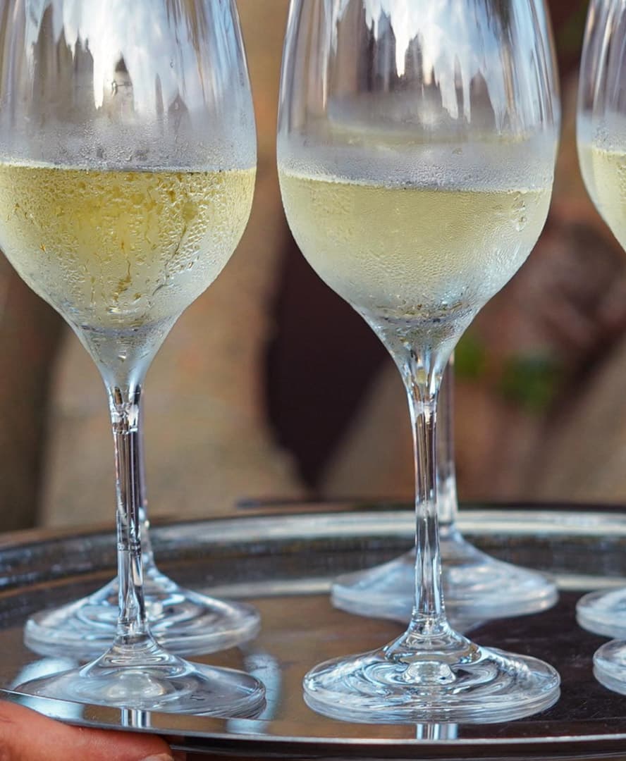 Hostess e staff operativo